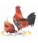 Éponge de cuisine EuroScrubby - Lot de 4 - Meilleure vente